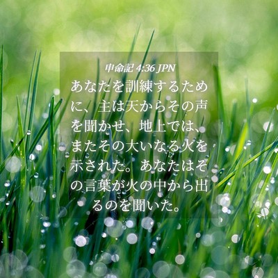 Picture 04 - 申命記 4:36 JPN - あなたを訓練するために、主は天か - Bible Verse Picture