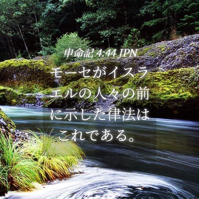 Picture 04 - 申命記 4:44 JPN - モーセがイスラエルの人々の前に示 - Bible Verse Picture