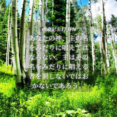 Picture 04 - 申命記 5:11 JPN - あなたの神、主の名をみだりに唱え - Bible Verse Picture
