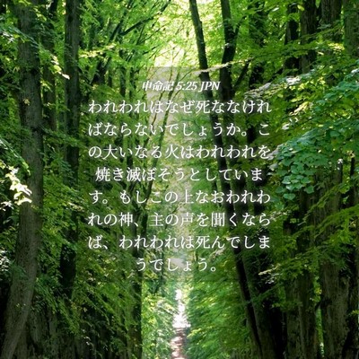 Picture 04 - 申命記 5:25 JPN - われわれはなぜ死ななければならな - Bible Verse Picture