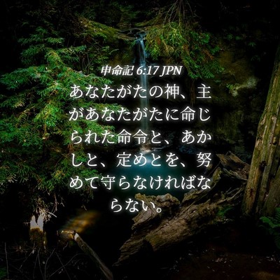 Picture 04 - 申命記 6:17 JPN - あなたがたの神、主があなたがたに - Bible Verse Picture