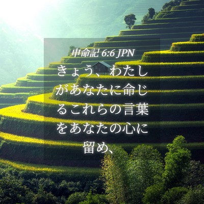Picture 04 - 申命記 6:6 JPN - きょう、わたしがあなたに命じるこ - Bible Verse Picture