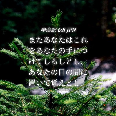 Picture 04 - 申命記 6:8 JPN - またあなたはこれをあなたの手につ - Bible Verse Picture