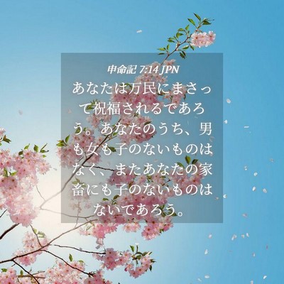 Picture 04 - 申命記 7:14 JPN - あなたは万民にまさって祝福される - Bible Verse Picture