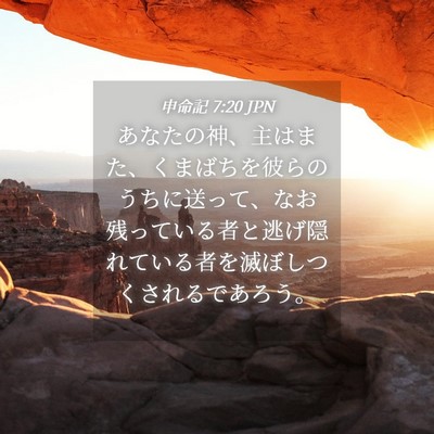 Picture 04 - 申命記 7:20 JPN - あなたの神、主はまた、くまばちを - Bible Verse Picture
