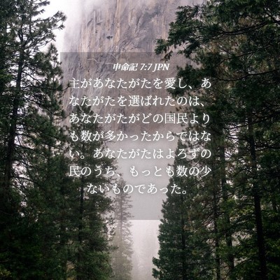 Picture 04 - 申命記 7:7 JPN - 主があなたがたを愛し、あなたがた - Bible Verse Picture