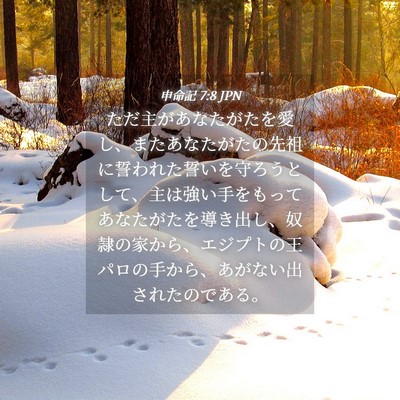 Picture 04 - 申命記 7:8 JPN - ただ主があなたがたを愛し、またあ - Bible Verse Picture
