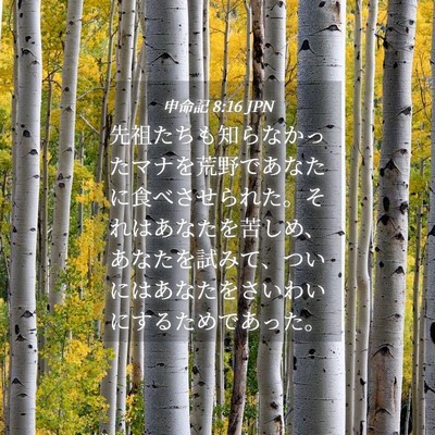 Picture 04 - 申命記 8:16 JPN - 先祖たちも知らなかったマナを荒野 - Bible Verse Picture