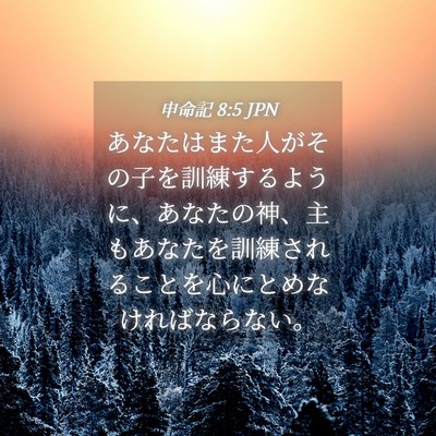 Picture 04 - 申命記 8:5 JPN - あなたはまた人がその子を訓練する - Bible Verse Picture