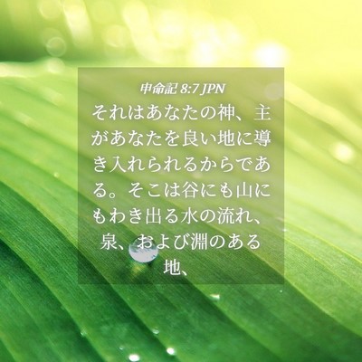 Picture 04 - 申命記 8:7 JPN - それはあなたの神、主があなたを良 - Bible Verse Picture