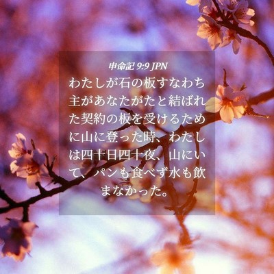 Picture 04 - 申命記 9:9 JPN - わたしが石の板すなわち主があなた - Bible Verse Picture
