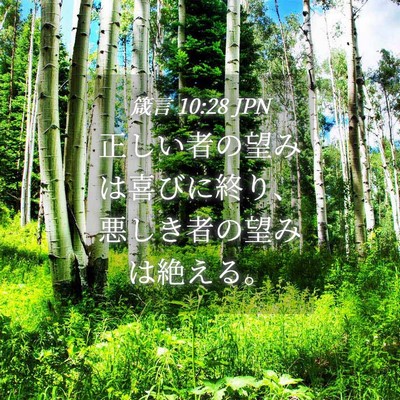 Picture 04 - 箴言 10:28 JPN - 正しい者の望みは喜びに終り、悪し - Bible Verse Picture