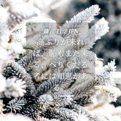 Picture 04 - 箴言 11:2 JPN - 高ぶりが来れば、恥もまた来る、へ - Bible Verse Picture