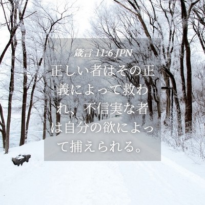 Picture 04 - 箴言 11:6 JPN - 正しい者はその正義によって救われ - Bible Verse Picture