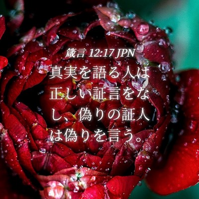 Picture 04 - 箴言 12:17 JPN - 真実を語る人は正しい証言をなし、 - Bible Verse Picture