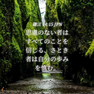 Picture 04 - 箴言 14:15 JPN - 思慮のない者はすべてのことを信じ - Bible Verse Picture