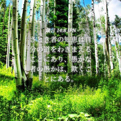 Picture 04 - 箴言 14:8 JPN - さとき者の知恵は自分の道をわきま - Bible Verse Picture