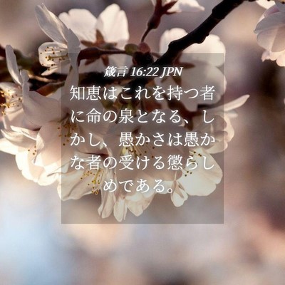 Picture 04 - 箴言 16:22 JPN - 知恵はこれを持つ者に命の泉となる - Bible Verse Picture