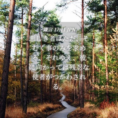 Picture 04 - 箴言 17:11 JPN - 悪しき者はただ、そむく事のみを求 - Bible Verse Picture