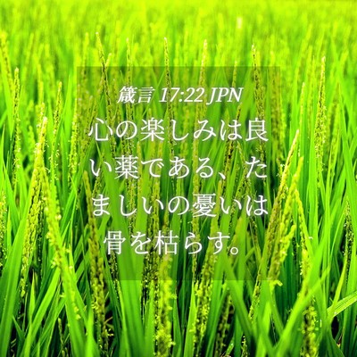 Picture 04 - 箴言 17:22 JPN - 心の楽しみは良い薬である、たまし - Bible Verse Picture