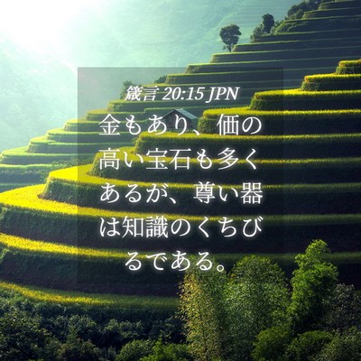 Picture 04 - 箴言 20:15 JPN - 金もあり、価の高い宝石も多くある - Bible Verse Picture