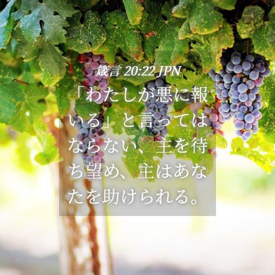 Picture 04 - 箴言 20:22 JPN - 「わたしが悪に報いる」と言っては - Bible Verse Picture