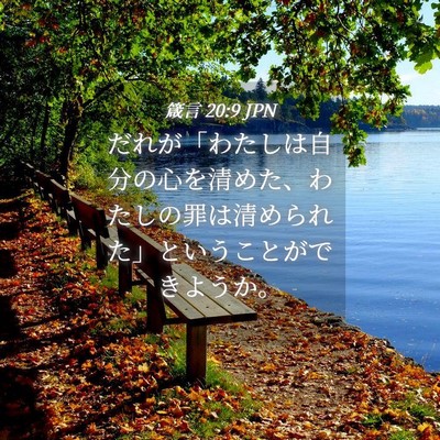 Picture 04 - 箴言 20:9 JPN - だれが「わたしは自分の心を清めた - Bible Verse Picture