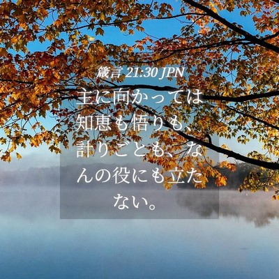 Picture 04 - 箴言 21:30 JPN - 主に向かっては知恵も悟りも、計り - Bible Verse Picture