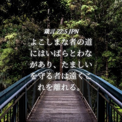 Picture 04 - 箴言 22:5 JPN - よこしまな者の道にはいばらとわな - Bible Verse Picture