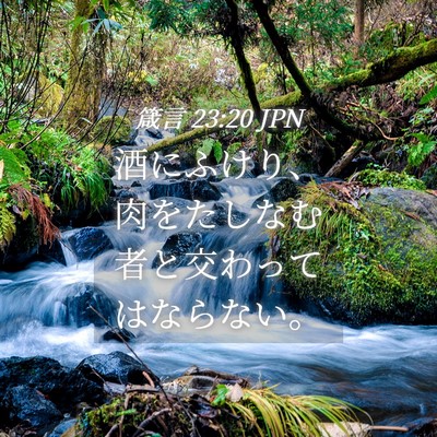 Picture 04 - 箴言 23:20 JPN - 酒にふけり、肉をたしなむ者と交わ - Bible Verse Picture