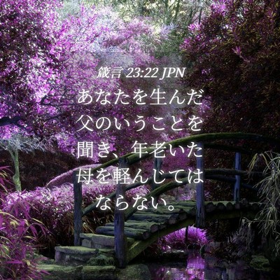Picture 04 - 箴言 23:22 JPN - あなたを生んだ父のいうことを聞き - Bible Verse Picture