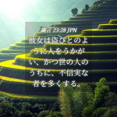 Picture 04 - 箴言 23:28 JPN - 彼女は盗びとのように人をうかがい - Bible Verse Picture
