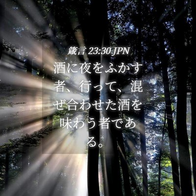Picture 04 - 箴言 23:30 JPN - 酒に夜をふかす者、行って、混ぜ合 - Bible Verse Picture