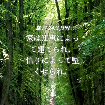 Picture 04 - 箴言 24:3 JPN - 家は知恵によって建てられ、悟りに - Bible Verse Picture