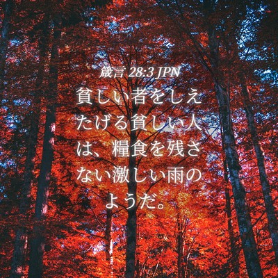 Picture 04 - 箴言 28:3 JPN - 貧しい者をしえたげる貧しい人は、 - Bible Verse Picture