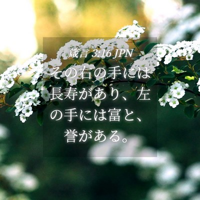 Picture 04 - 箴言 3:16 JPN - その右の手には長寿があり、左の手 - Bible Verse Picture