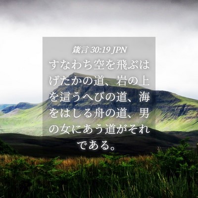 Picture 04 - 箴言 30:19 JPN - すなわち空を飛ぶはげたかの道、岩 - Bible Verse Picture