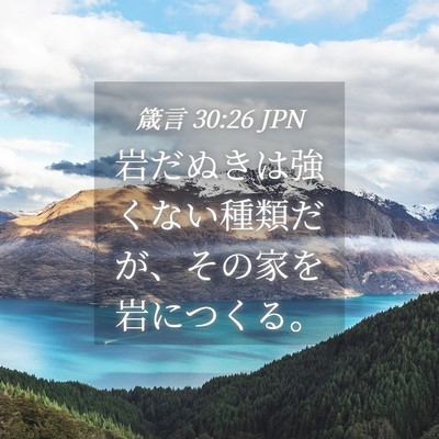 Picture 04 - 箴言 30:26 JPN - 岩だぬきは強くない種類だが、その - Bible Verse Picture