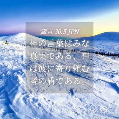 Picture 04 - 箴言 30:5 JPN - 神の言葉はみな真実である、神は彼 - Bible Verse Picture