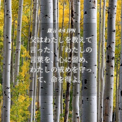 Picture 04 - 箴言 4:4 JPN - 父はわたしを教えて言った、「わた - Bible Verse Picture