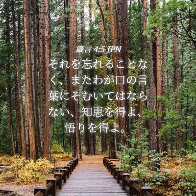 Picture 04 - 箴言 4:5 JPN - それを忘れることなく、またわが口 - Bible Verse Picture