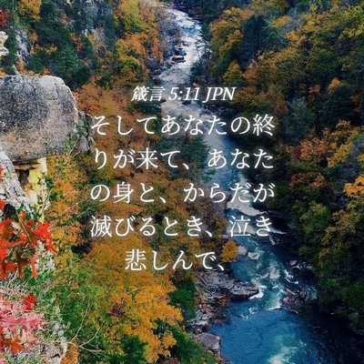 Picture 04 - 箴言 5:11 JPN - そしてあなたの終りが来て、あなた - Bible Verse Picture