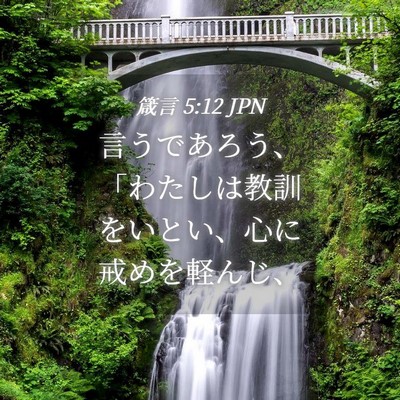 Picture 04 - 箴言 5:12 JPN - 言うであろう、「わたしは教訓をい - Bible Verse Picture