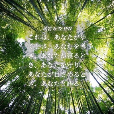 Picture 04 - 箴言 6:22 JPN - これは、あなたが歩くとき、あなた - Bible Verse Picture
