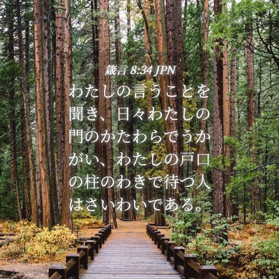 Picture 04 - 箴言 8:34 JPN - わたしの言うことを聞き、日々わた - Bible Verse Picture