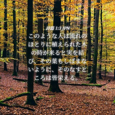 Picture 04 - 詩篇 1:3 JPN - このような人は流れのほとりに植え - Bible Verse Picture