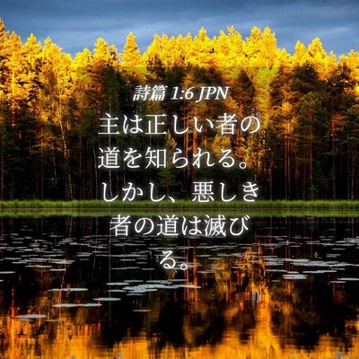 Picture 04 - 詩篇 1:6 JPN - 主は正しい者の道を知られる。しか - Bible Verse Picture
