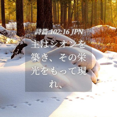 Picture 04 - 詩篇 102:16 JPN - 主はシオンを築き、その栄光をもっ - Bible Verse Picture
