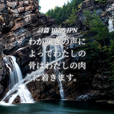 Picture 04 - 詩篇 102:5 JPN - わが嘆きの声によってわたしの骨は - Bible Verse Picture