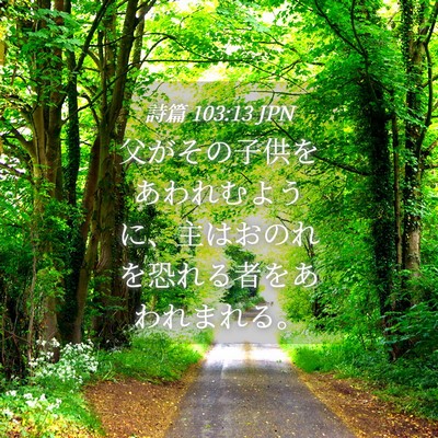 Picture 04 - 詩篇 103:13 JPN - 父がその子供をあわれむように、主 - Bible Verse Picture
